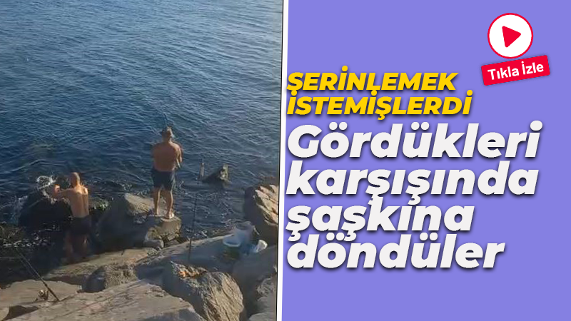 Serinlemek için denize gittiler, gördükleri karşısında şaşkına döndüler!