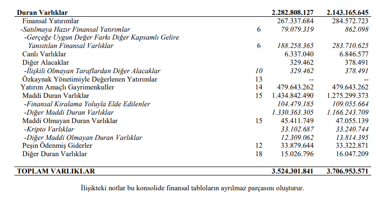 Şirketlerin kripto varlıklarını yurt dışında tutması usule uygun mu değil mi? - Resim : 2