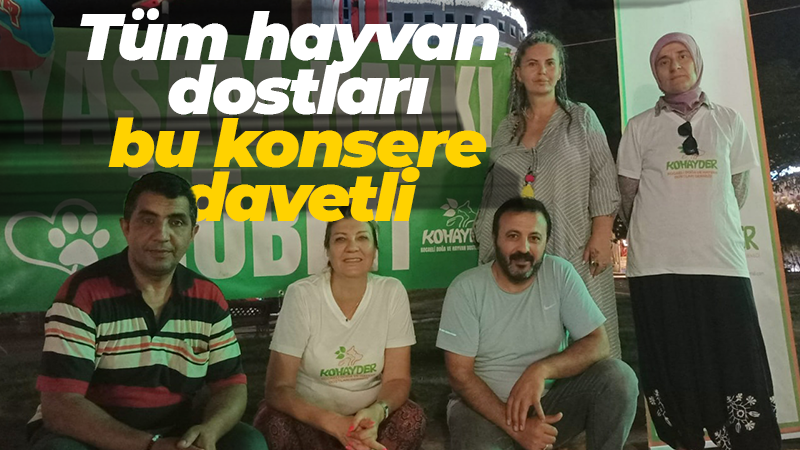 KOHAYDER ve Aktif Sanatçılar