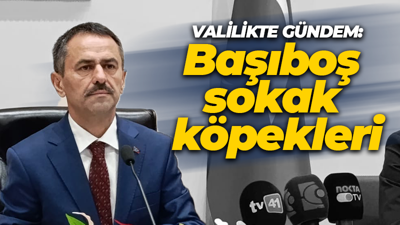 Valilikte gündem başıboş sokak köpekleri