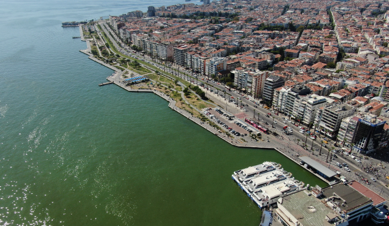 İzmir’de binlerce ölü balık