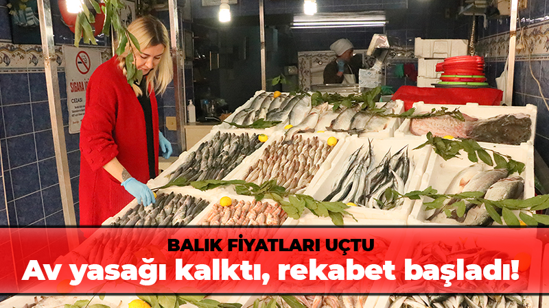 Av yasağı kalktı, rekabet başladı: Balık fiyatları uçtu!