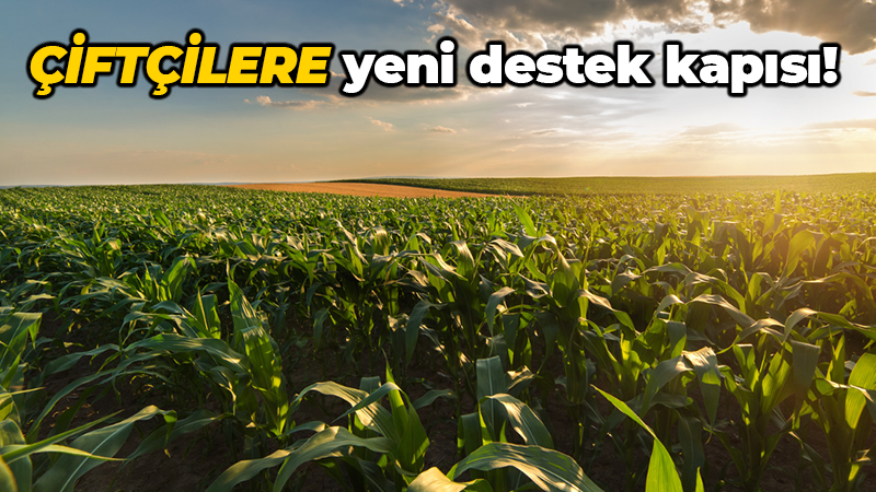 Cargill'in çiftçilerin verimini ve