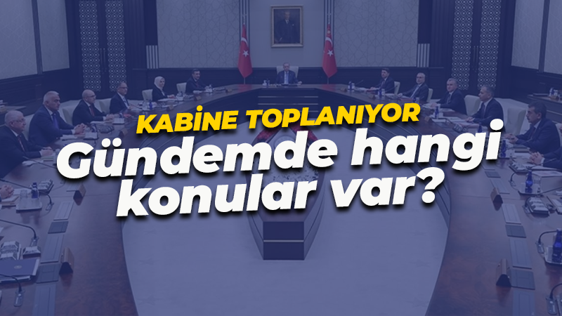 Kabine, Cumhurbaşkanı Recep Tayyip