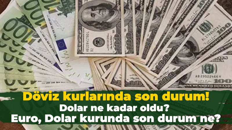 Dolar, Euro kurlarında son durum!