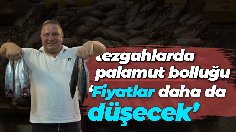 “Fiyatlar daha da düşecek” tezgahlarda palamut bolluğu!