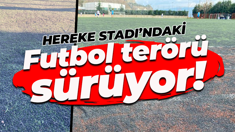 Spor Kenti Kocaeli! Bu