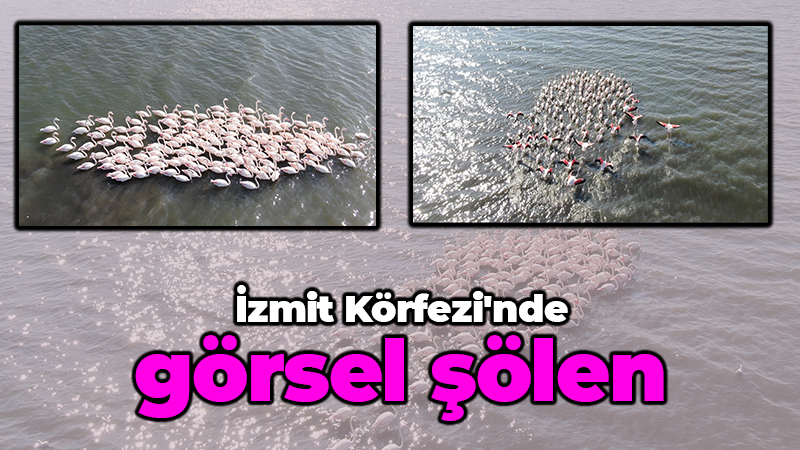 İzmit Körfezi’nde görsel şölen