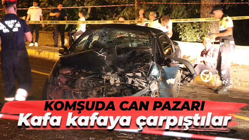 Sakarya'nın Akyazı ilçesinde iki