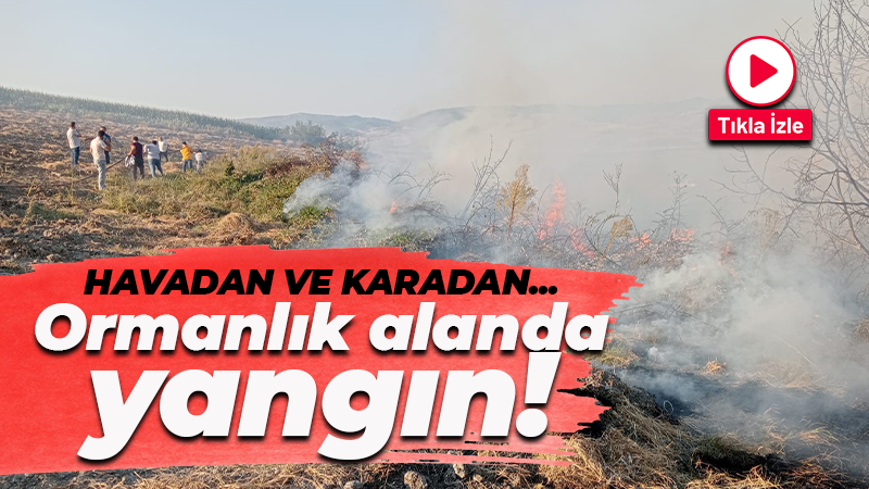 Ormanlık alanda korkutan yangın! Havadan ve karadan…