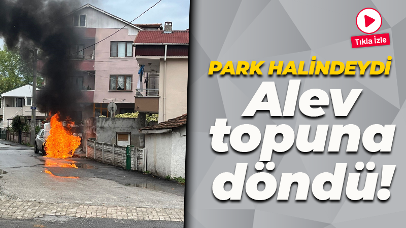 Park halindeki otomobil aniden alev aldı!