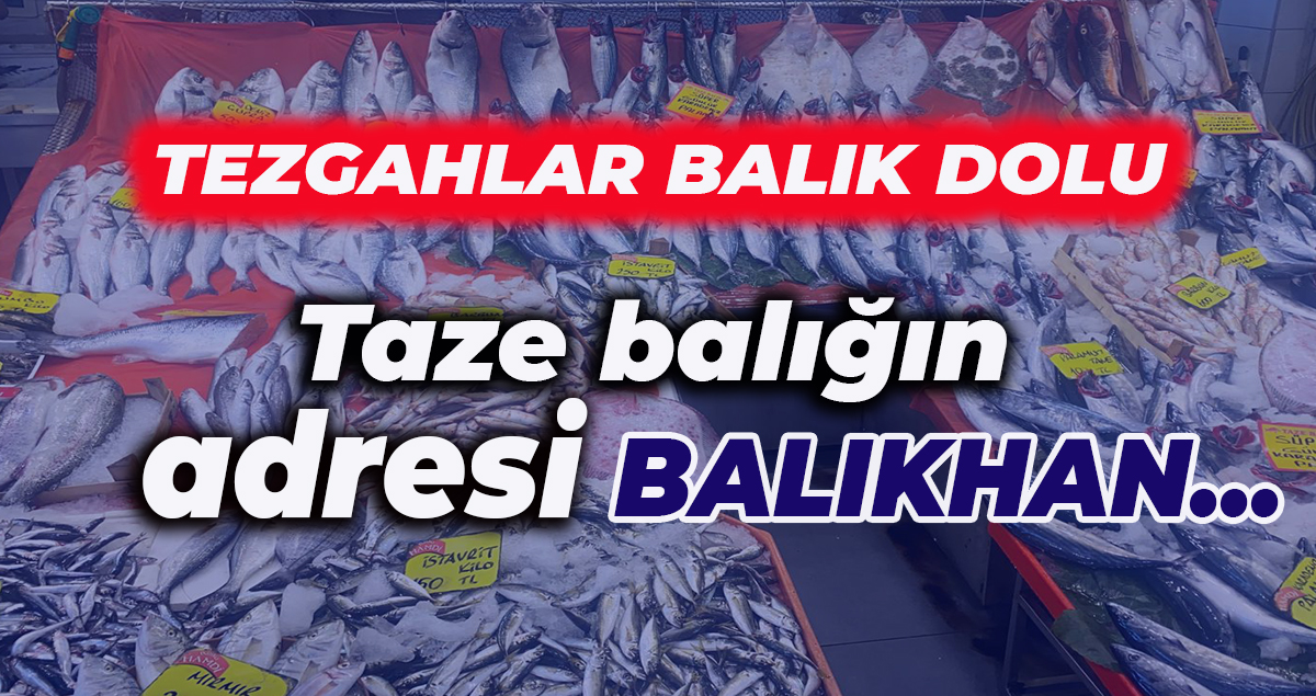 Taze balığın adresi Balıkhan! Tezgahlar hem dolu hem taze! Peki balık fiyatları nasıl?