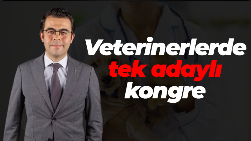 Kocaeli Veteriner Hekimler Odası