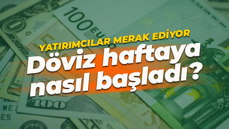 İstanbul serbest piyasada dolar