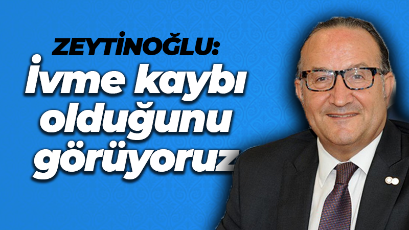 Zeytinoğlu: İvme kaybı olduğunu görüyoruz