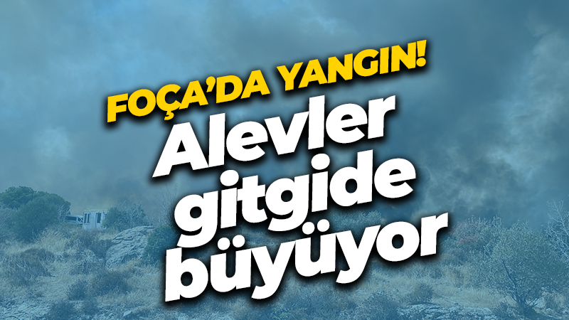 Foça’da yangın! Alevler gitgide büyüyor!