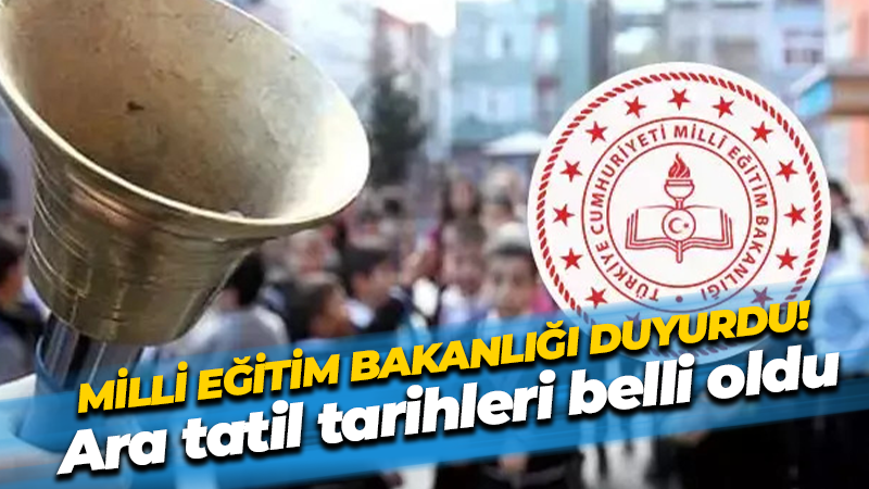 Milli Eğitim Bakanlığı'na (MEB)