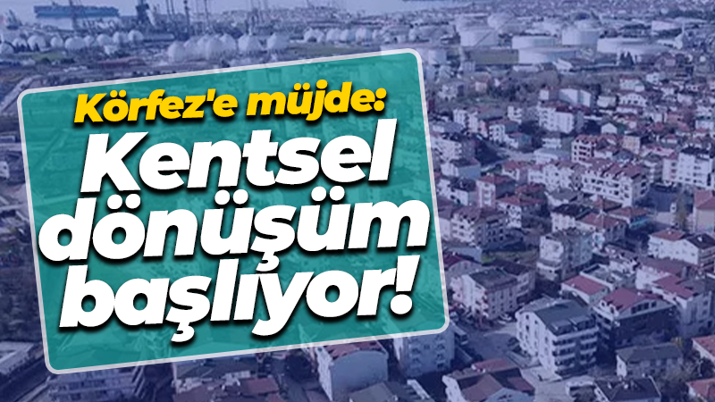 Körfez ilçesinde bulunan Güney