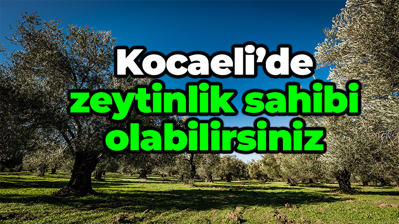 Kocaeli İli, Karamürsel İlçesi,