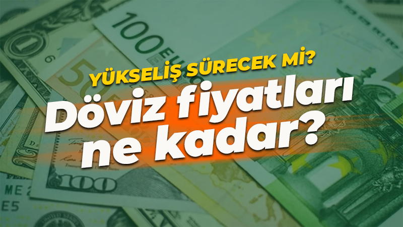 İstanbul serbest piyasada dolar