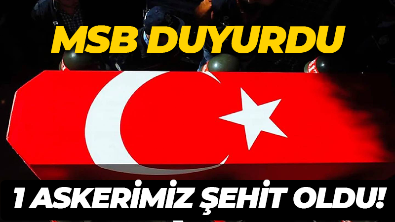 Milli Savunma Bakanlığı (MSB),